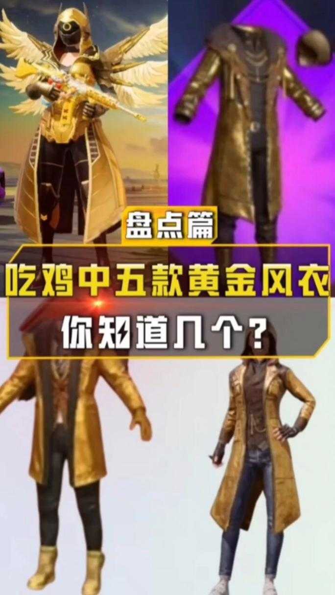 绝地求生黄金风衣主播陪玩,主播,风衣,黄金