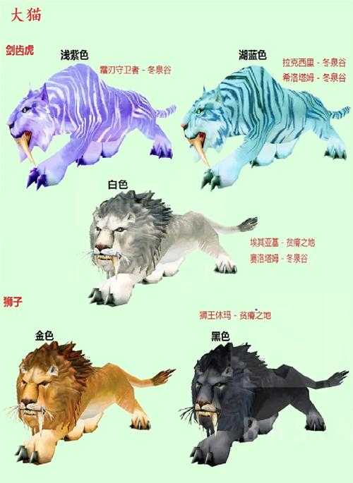 魔兽争霸宠物进化图鉴：提供宠物进化后的装备推荐指南