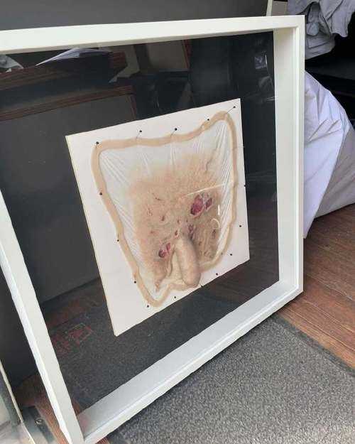 揭秘假丁丁的真相：你不知道的惊人内幕