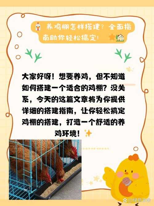 新手救鸡指南：如何快速成为养鸡高手？