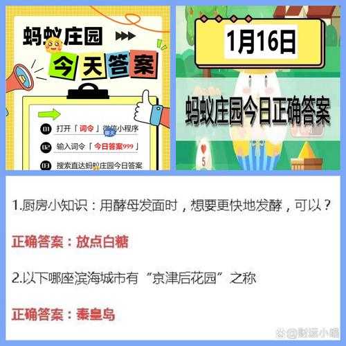 蚂蚁庄园每日问题解析:如何找到答案并理解其背后的知识?答案揭晓日期就在11月24日