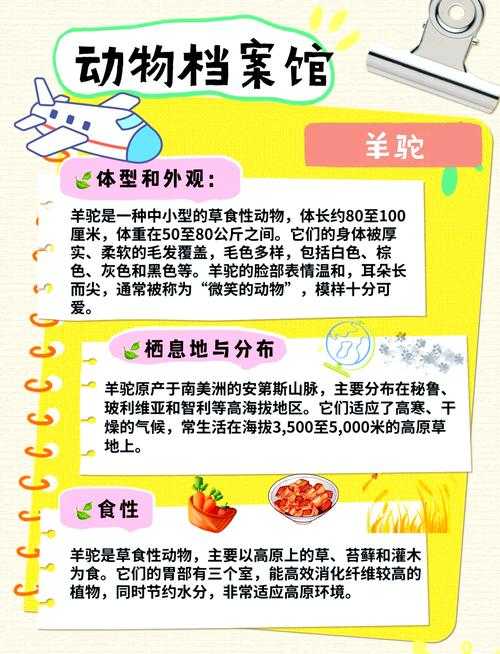 《兄贵羊驼》生态进化:土味到文化符号蜕变