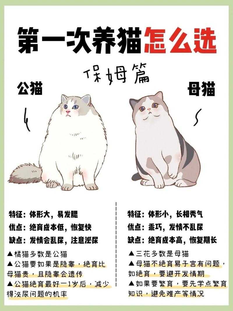 如何从学生视角选择最适合的宠物来养?哪些宠物适合学生养?推荐适合学生的宠物有哪些?