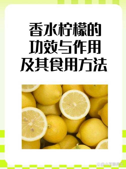 香菜柠檬2025维C含量对比解析