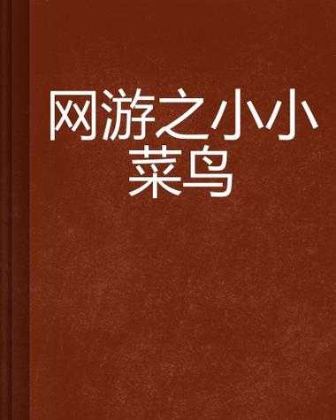 菜鸟也能成高手：《网游》初学者手册