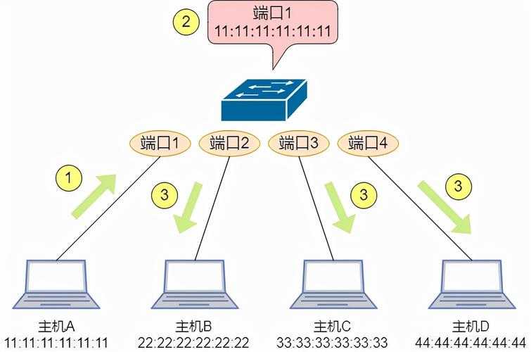 二层交换机选购指南：关键参数与品牌推荐