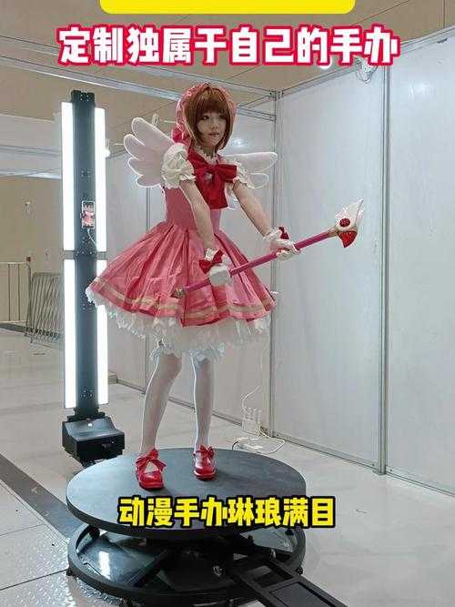 2025年《3D定制少女》行业全景观察