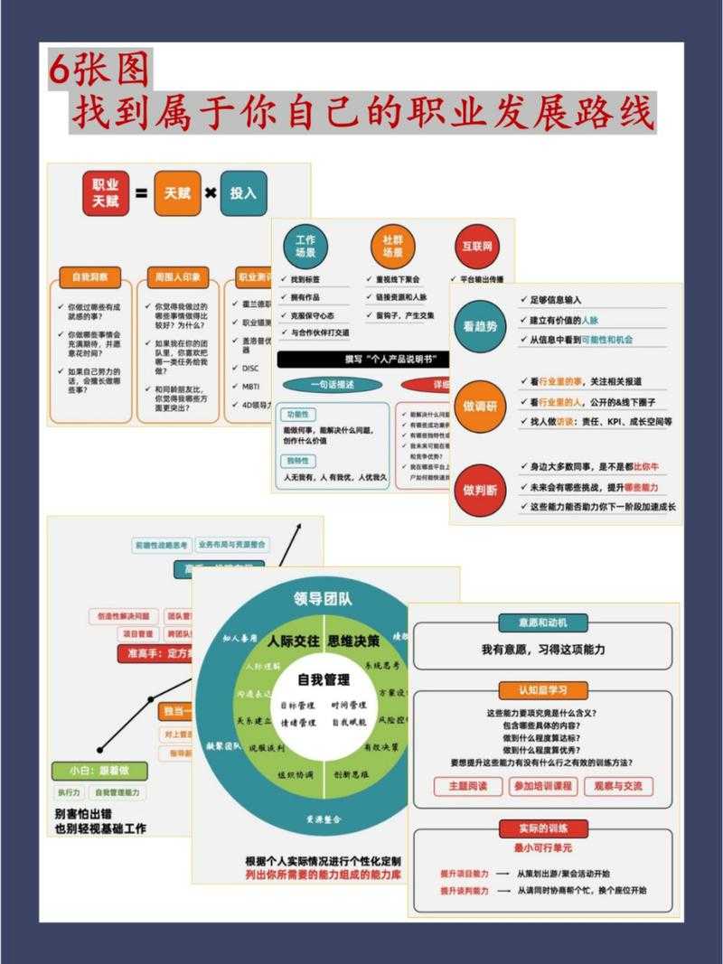 以下是对该职业发展报告的结构化分析和解读: