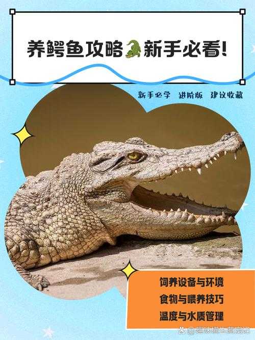 初学者攻略:应对饥渴的鳄鱼生存挑战