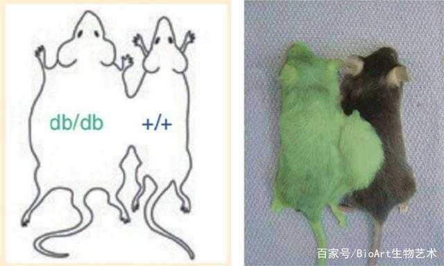 《南天国》2025:传统与现代共生实验