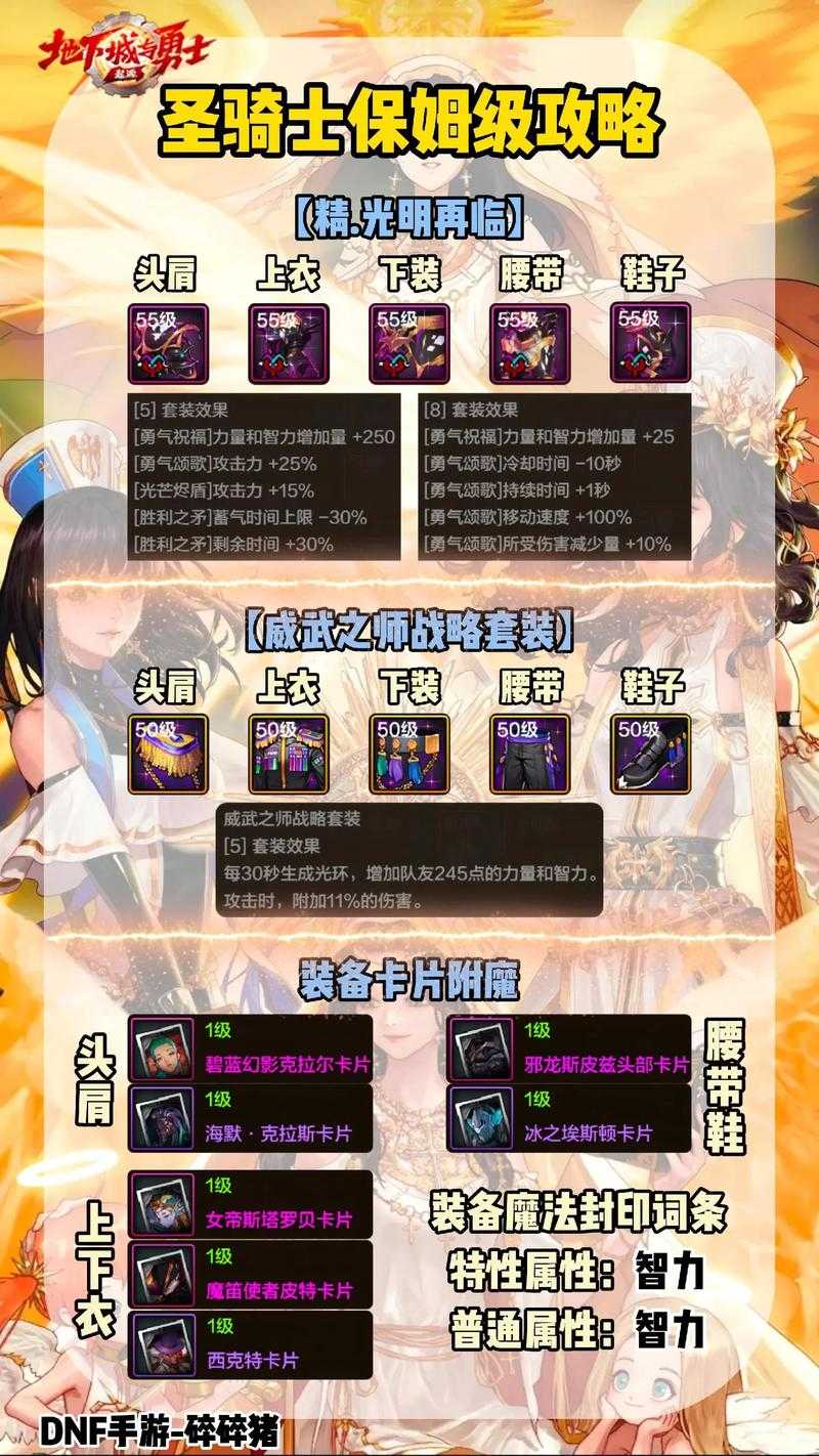 以下是对DNF奶妈职业2025年版本的综合分析及策略建议: