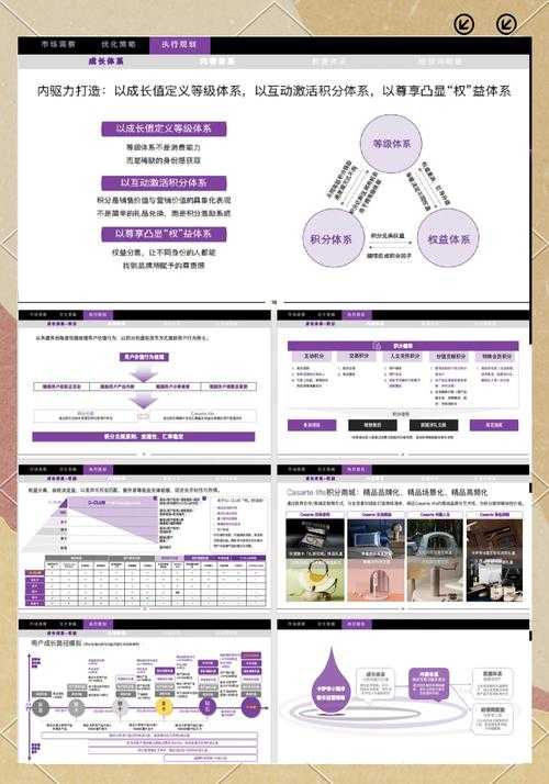 以下是优化后的运营策略报告呈现(采用专业排版+数据可视化设计):