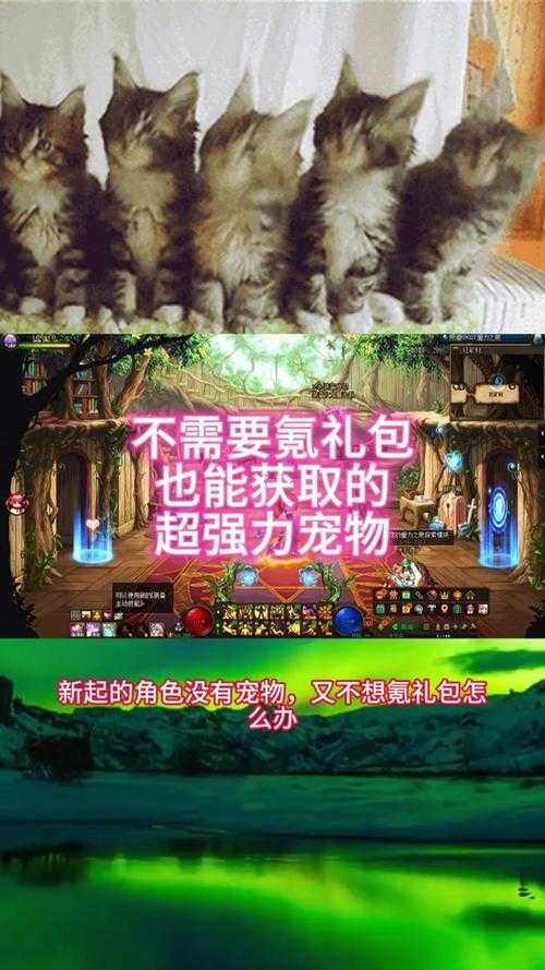 2025 DNF帝国竞技场无法进入十大原因