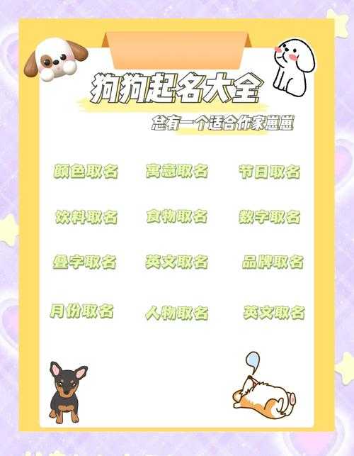 如何为我的男狗狗挑选一个好听的名字？有哪些吸引人的选择？