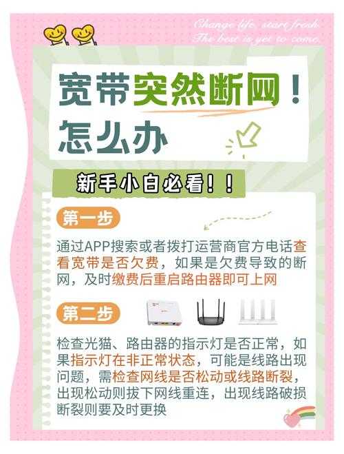 如何正确使用和体验高效便捷的网?