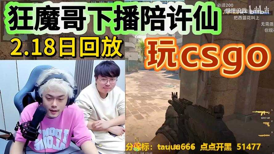 2025CSGO半仙出身与经济真相及行业生态