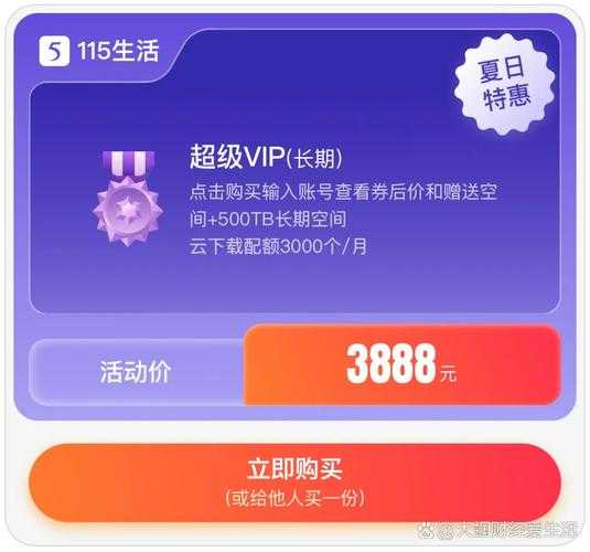 如何付费使用115网盘?详细解读其收费策略