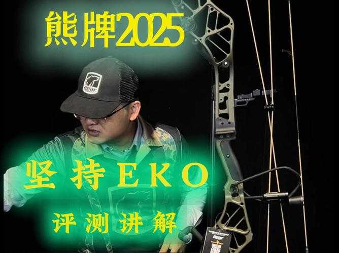 2025弓箭装备选择与实战搭配全攻略