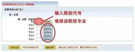 2025阿拉德气功白金生存职业指南