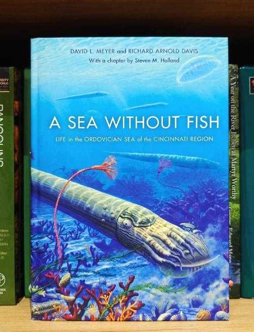 海洋之舟的生物学分类与生态角色