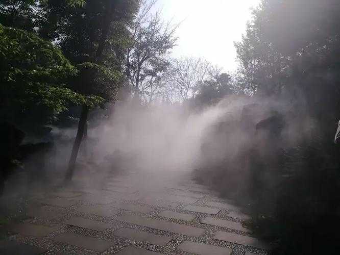 珍珠钻石大湿地迷雾清除全攻略