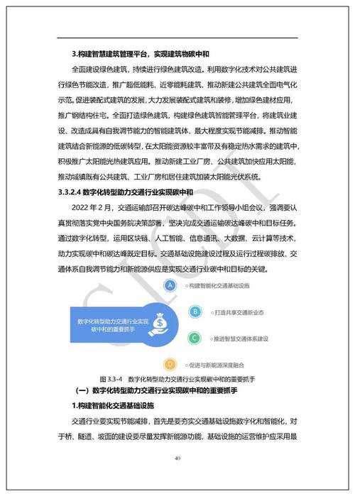 以下是对该数字皮肤技术(DNFPK)发展报告的深度分析与建议框架: