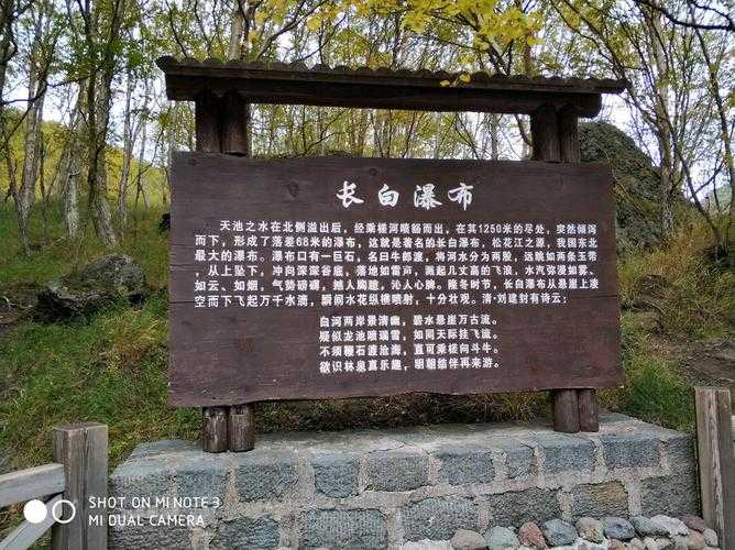 2025竹渊林出口全攻略指南