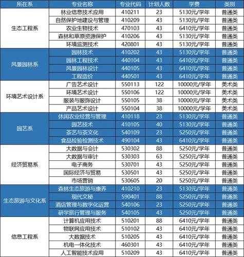 CSOL 2025职业生态与角色系统全解析