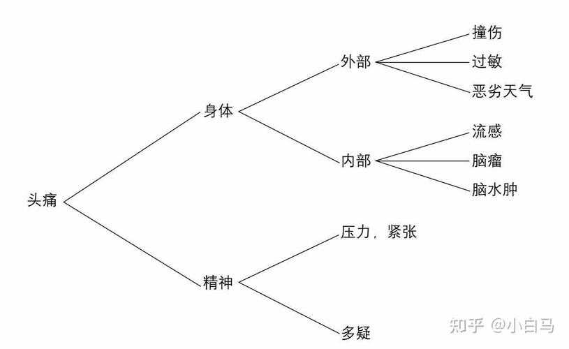 以下是对该专题内容的深度分析与结构化呈现: