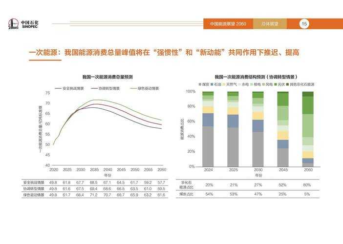 以下是对火炬图2025年度发展报告的系统化梳理与深度分析,采用结构化呈现与关键洞察结合的方式: