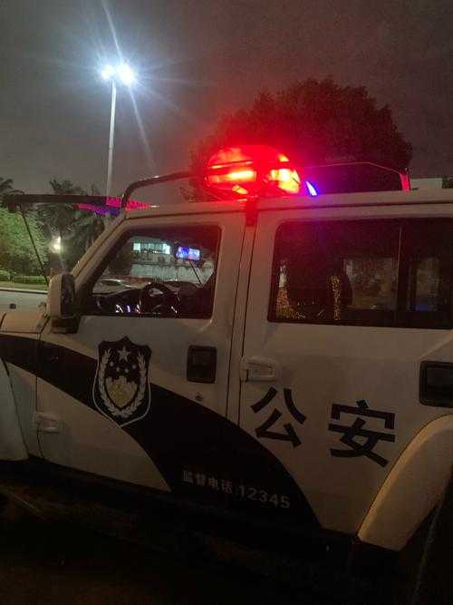 夜晚110警车紧急出动,现场情况如何?图片展示