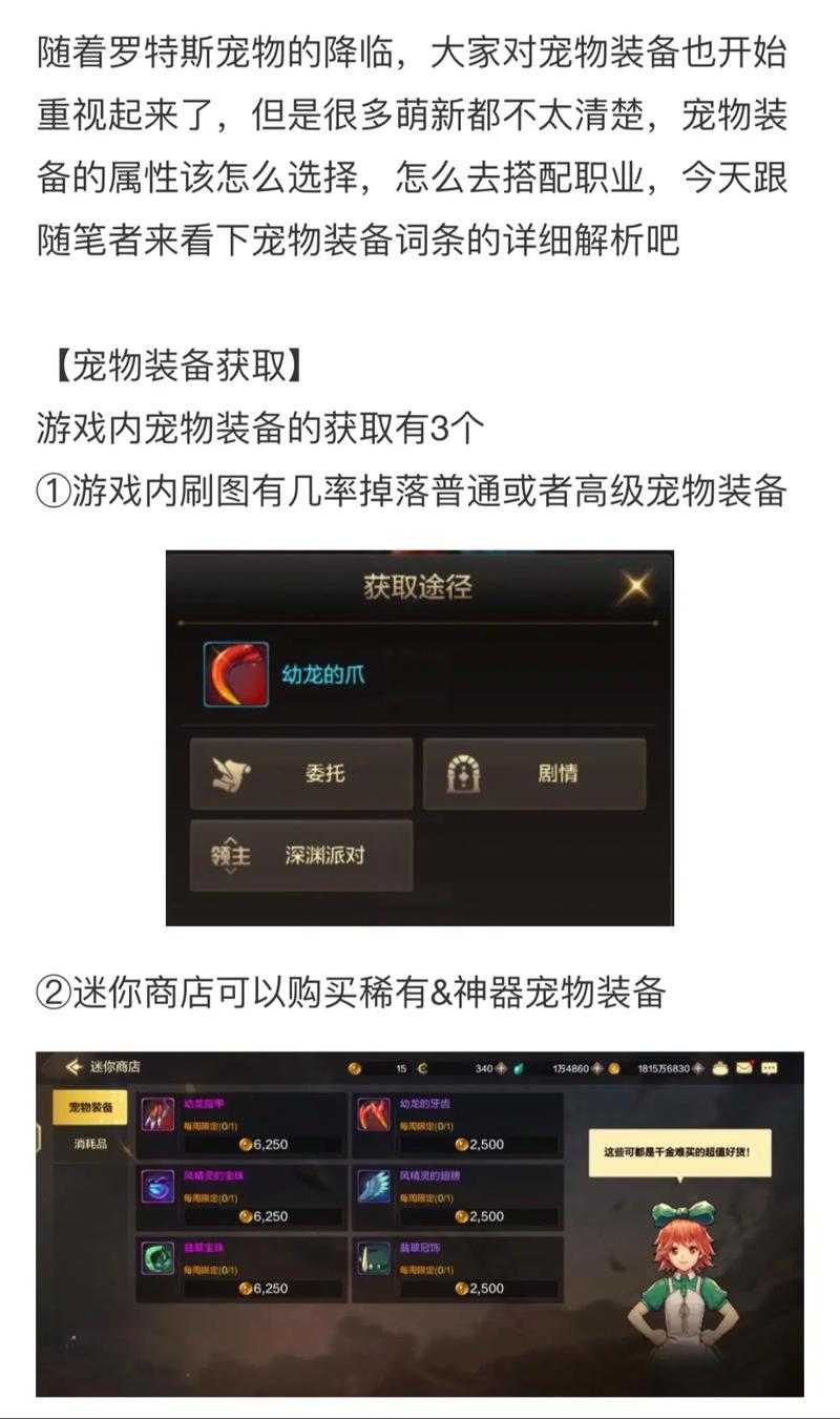 DNF手游2025宠物技能技巧实战装备解析
