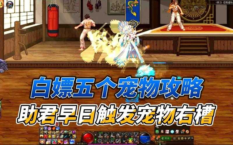 2025 DNF属性宠物白嫖全攻略