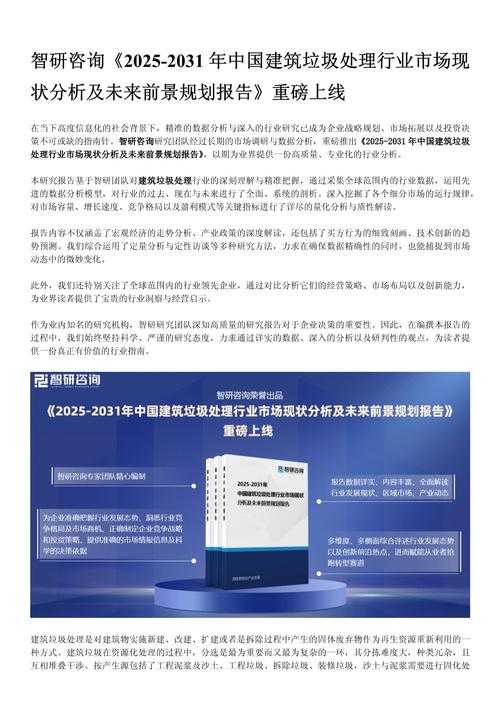 以下是对中国特大城市未来发展的系统性分析报告，结合挑战、案例与政策工具提出战略建议：