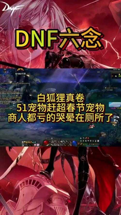 2025《DNF》宠物系统深度解析与图鉴对比策略