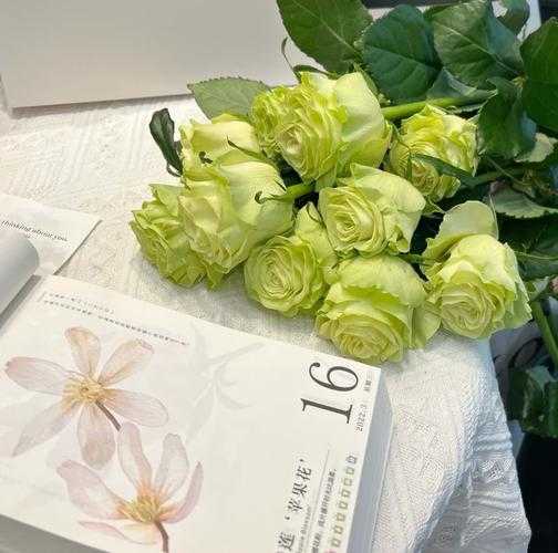 2025《花店物语》绿玫瑰获取全攻略