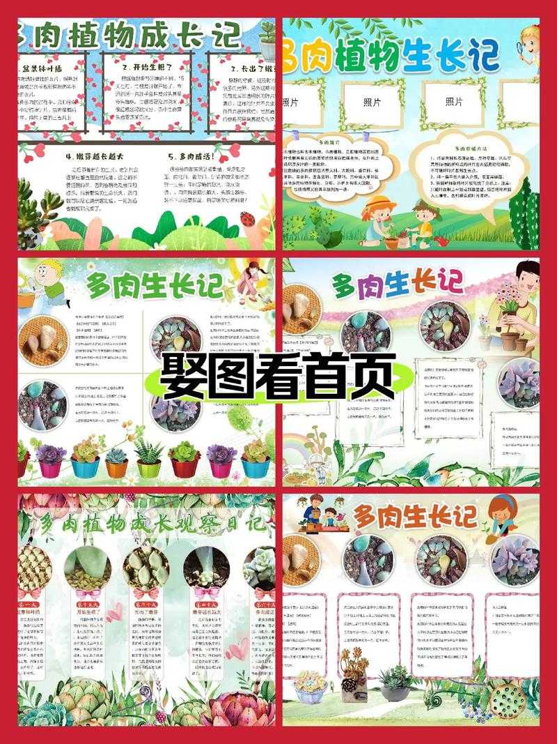 2025年多肉植物先开花后长叶观察报告