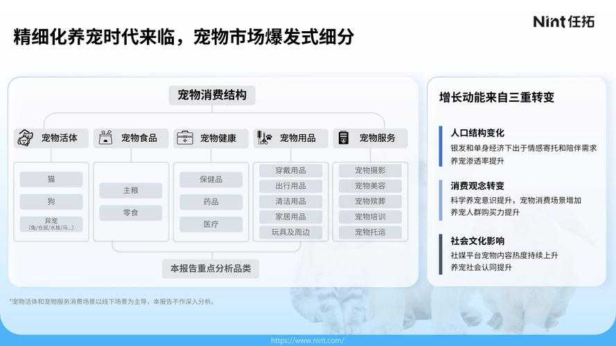 2025《宠物连连看3 1》市场表现用户评价分析