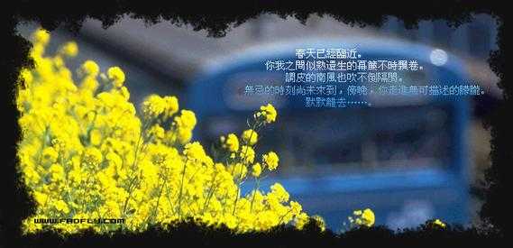 昔日熟悉的博客平台去哪儿了?关于163博客消失的原因和影响探索
