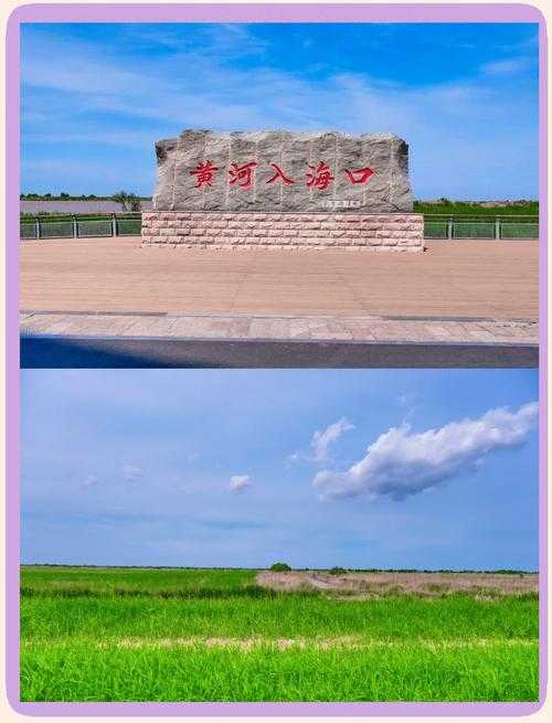 黄河奔流入海处 母亲河与渤海的千年之约