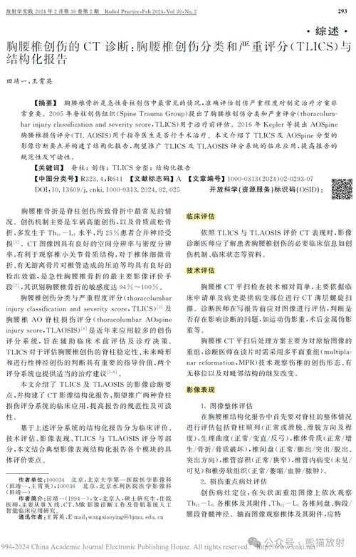 关于CSOL未来版本更新的趋势分析及建议(结构化报告)