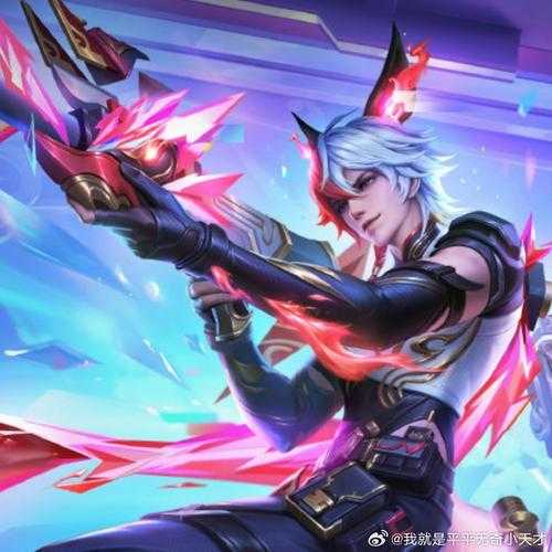 王者荣耀无敌小加大王