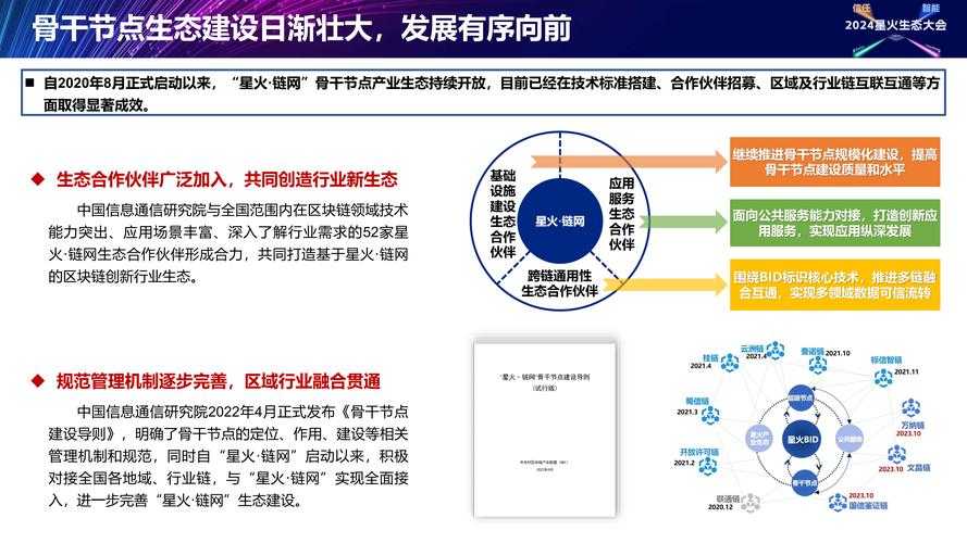 《我们的星球》2025年运营策略优化方案(基于多维度数据分析)