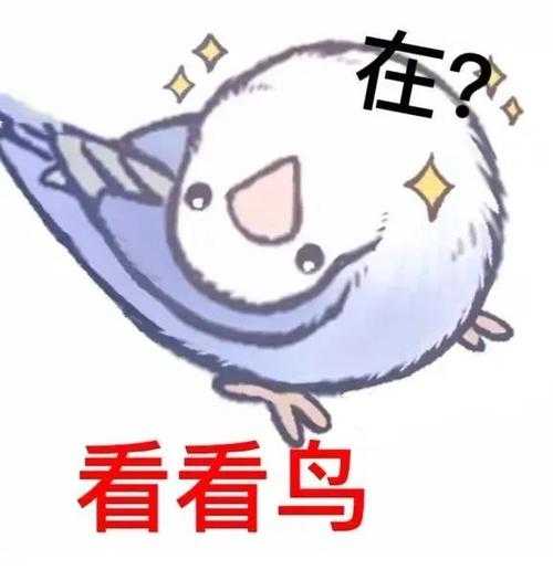 每次刷着微博微信的时候 总有人问我 哎 那个小鸟图标的Twi