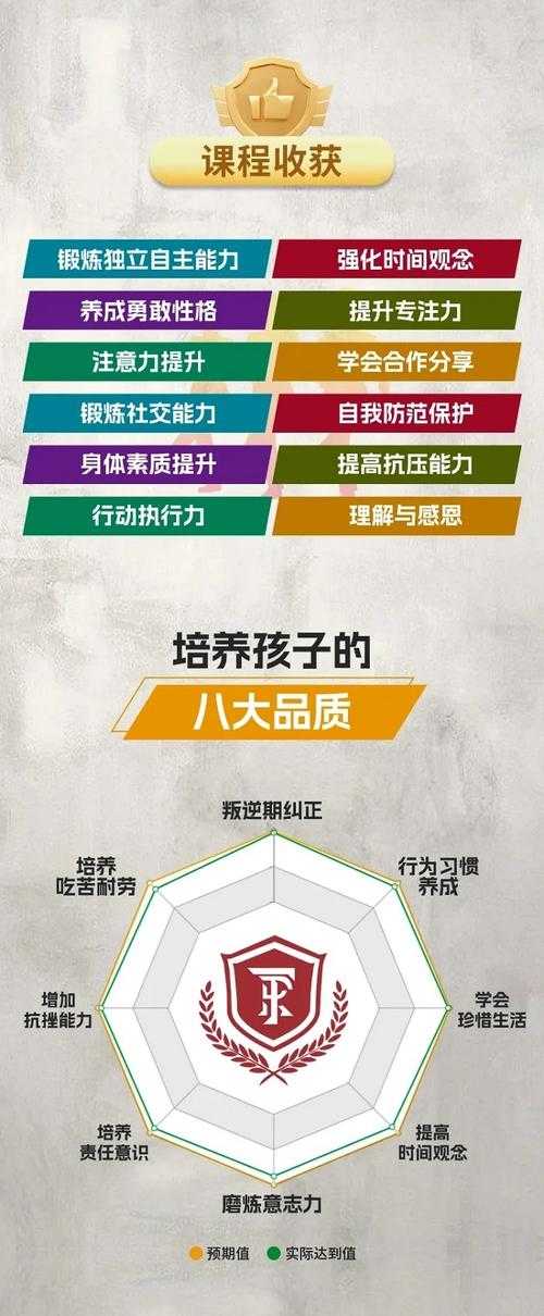 2025 CS破解版安全风险与法律后果及替代方案
