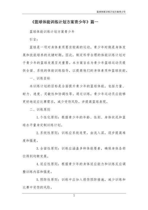 以下是对该训练计划的优化建议和深度分析报告：