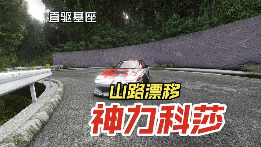 老司机带路 神力科莎驾驶手册从菜鸟到赛道之王的蜕变