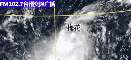 台风梅花最新动态及影响分析