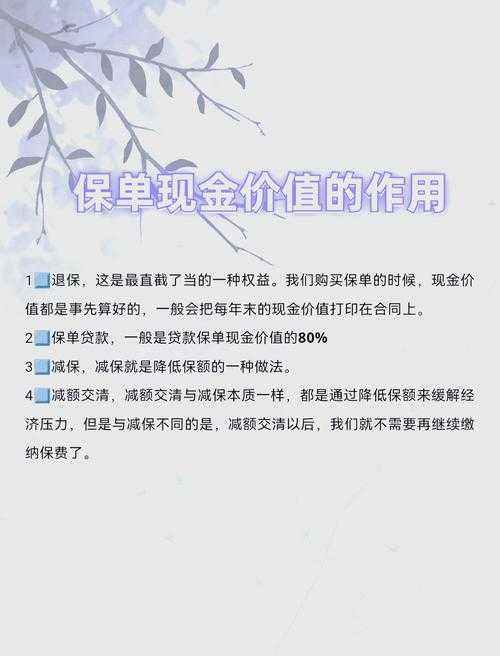 如何最大化利用1699百万任我行现金价值?如何有效发挥这笔现金的价值?