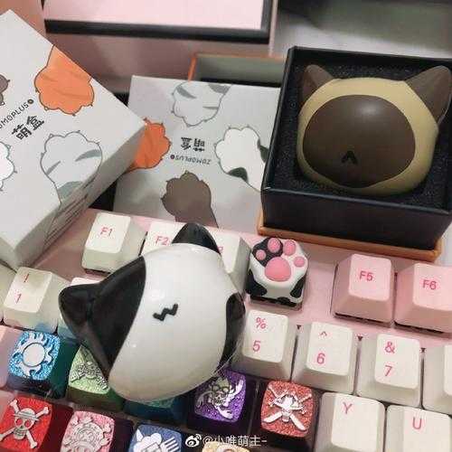 美短猫爪猛鬼宿舍破解版下载 内置修改器菜单